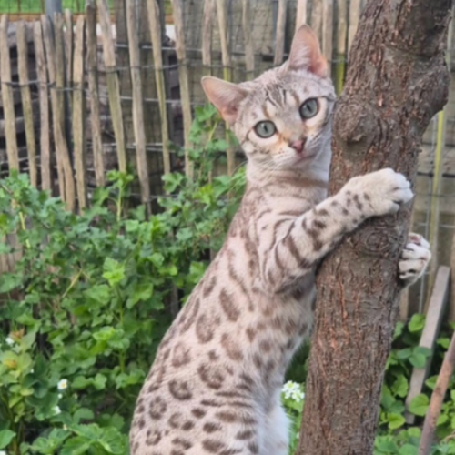 front.herplaats_image