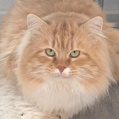 front.herplaats_image