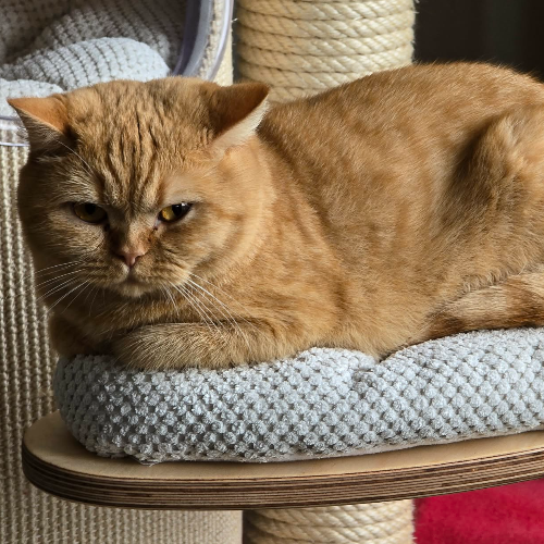 front.herplaats_image