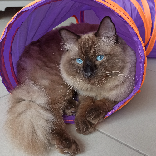 front.herplaats_image