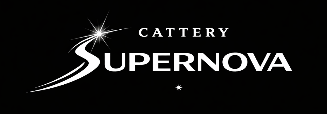 Profiel banner van $member->naam_kittenaccount)}}