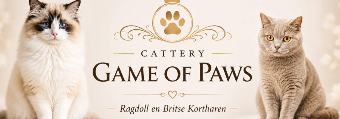 Profiel banner van $member->naam_kittenaccount)}}