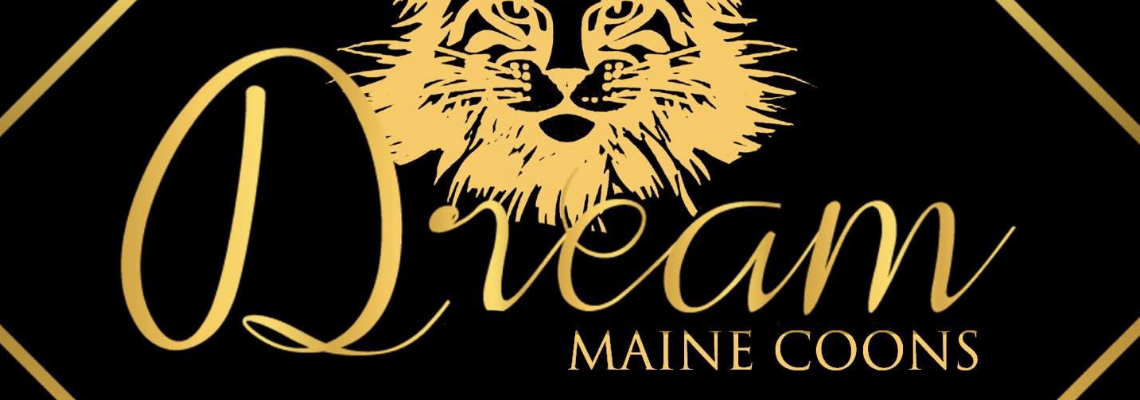 Profiel banner van $member->naam_kittenaccount)}}