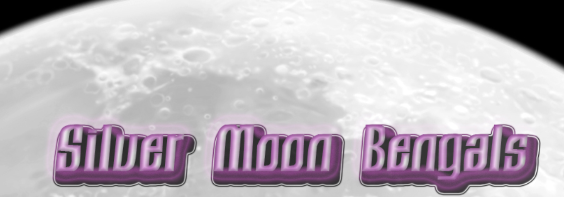 Profiel banner van $member->naam_kittenaccount)}}