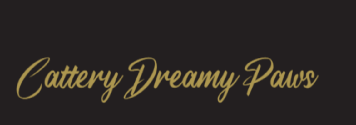 Profiel banner van $member->naam_kittenaccount)}}