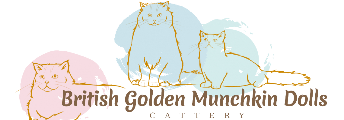 Profiel banner van $member->naam_kittenaccount)}}