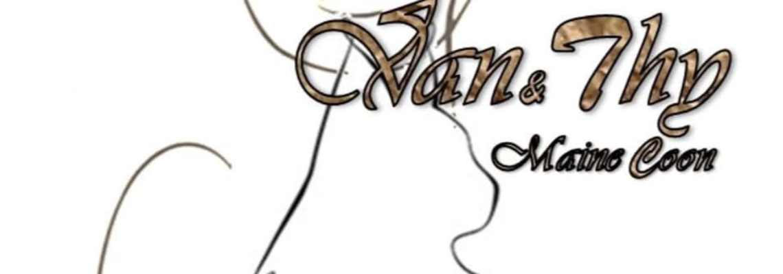 Profiel banner van $member->naam_kittenaccount)}}