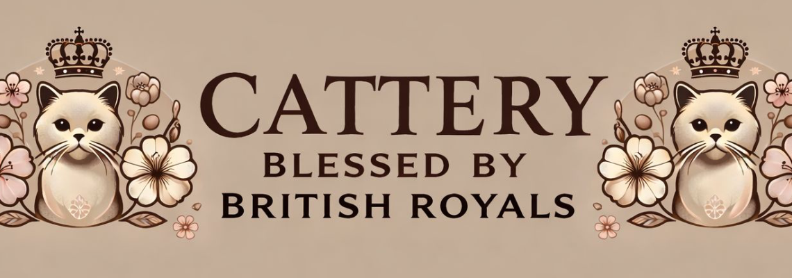 Profiel banner van $member->naam_kittenaccount)}}