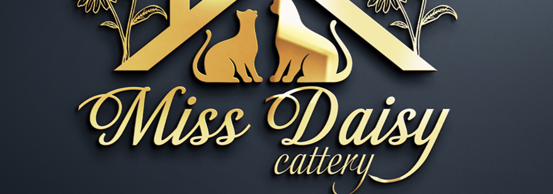 Profiel banner van $member->naam_kittenaccount)}}