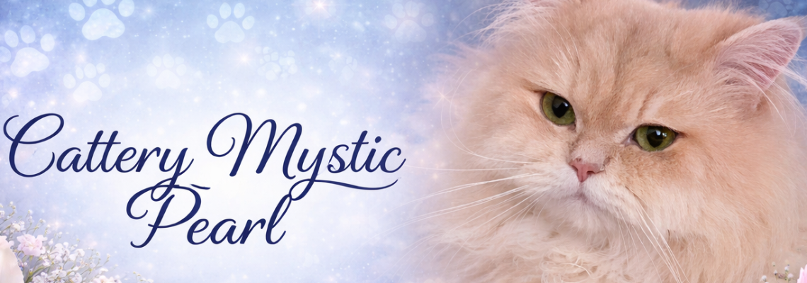 Profiel banner van $member->naam_kittenaccount)}}