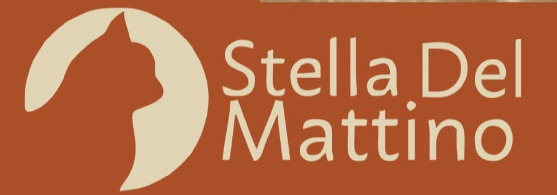 Profiel banner van $member->naam_kittenaccount)}}