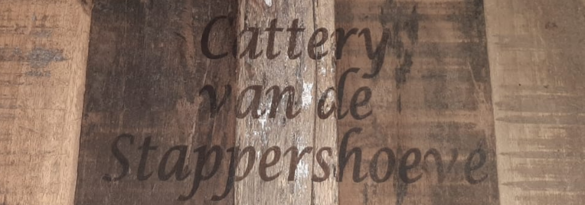 Profiel banner van $member->naam_kittenaccount)}}