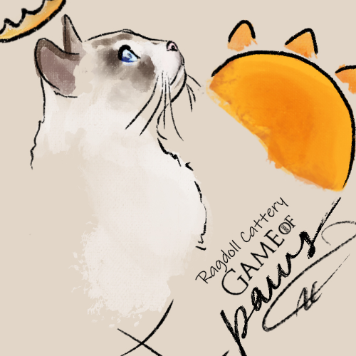 Profiel afbeelding van catterygameofpaws