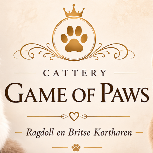 Profiel afbeelding van catterygameofpaws