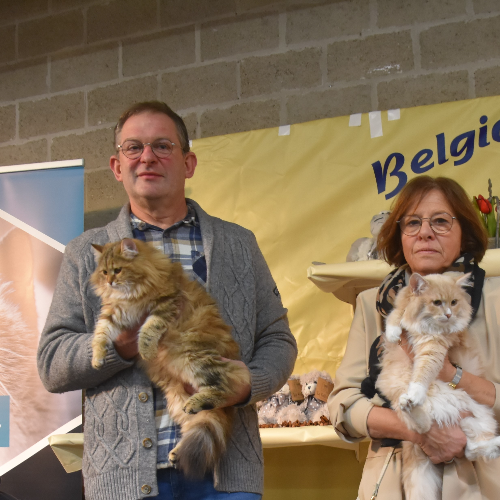 Profiel afbeelding van catterydenotelaar
