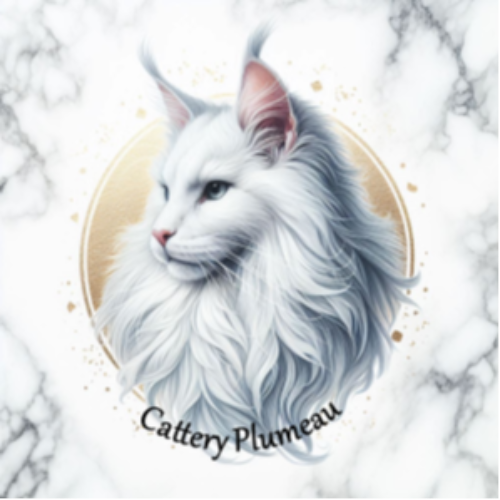 Profiel afbeelding van catteryplumeau