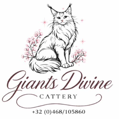 Profiel afbeelding van giantsdivine