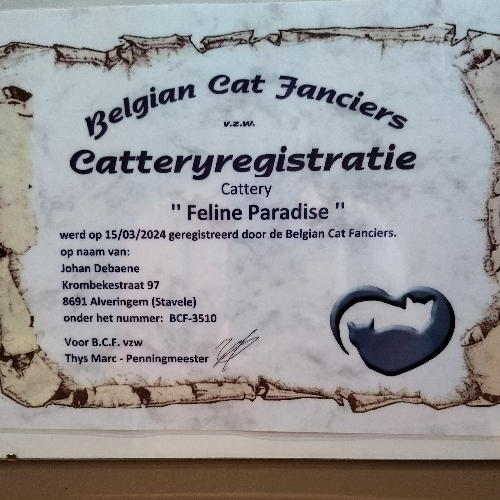 Profiel afbeelding van johan