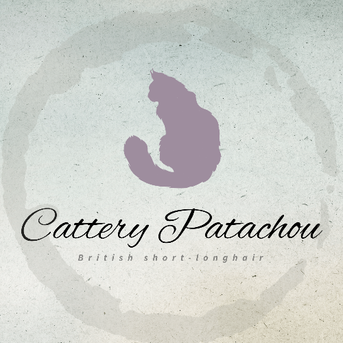 Profiel afbeelding van catterypatachou