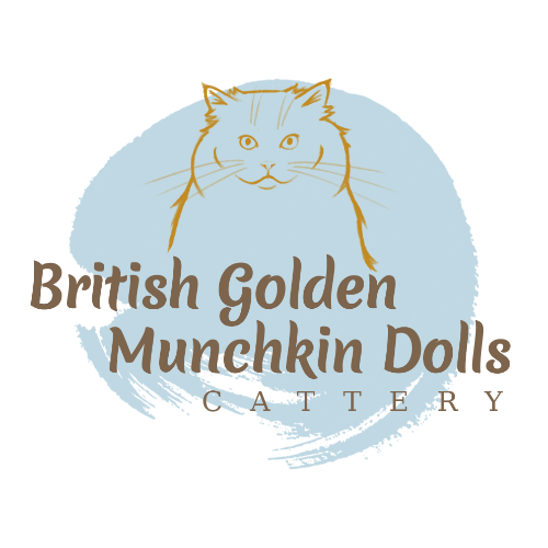 Profiel afbeelding van munchkindolls