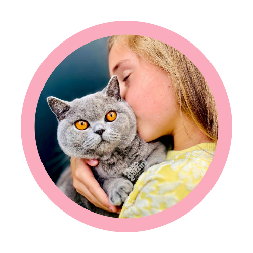 Profiel afbeelding van catteryorsogattini