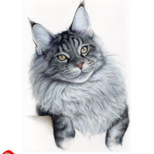 Profiel afbeelding van catterybandaya