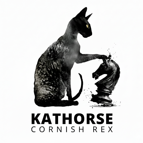 Profiel afbeelding van kathorse