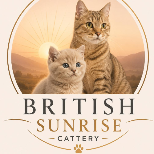 Profiel afbeelding van britishsunrise