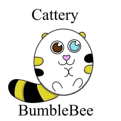 Profiel afbeelding van catterybumblebee