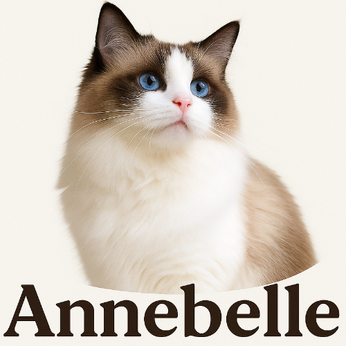 Profiel afbeelding van annebelle