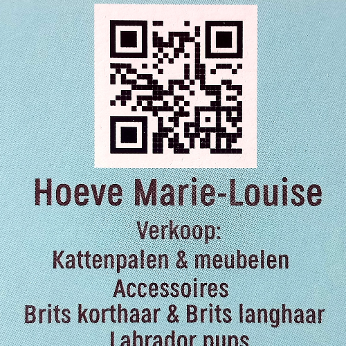 Profiel afbeelding van hoevemarie_louise
